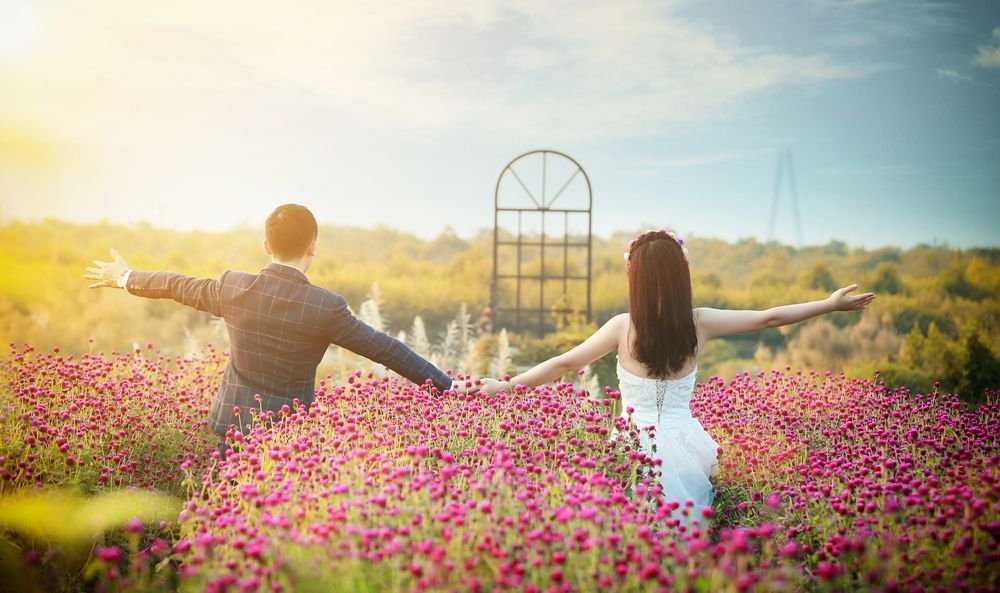Những bức ảnh rực rỡ sắc hoa tại Bãi Đá Sông Hồng